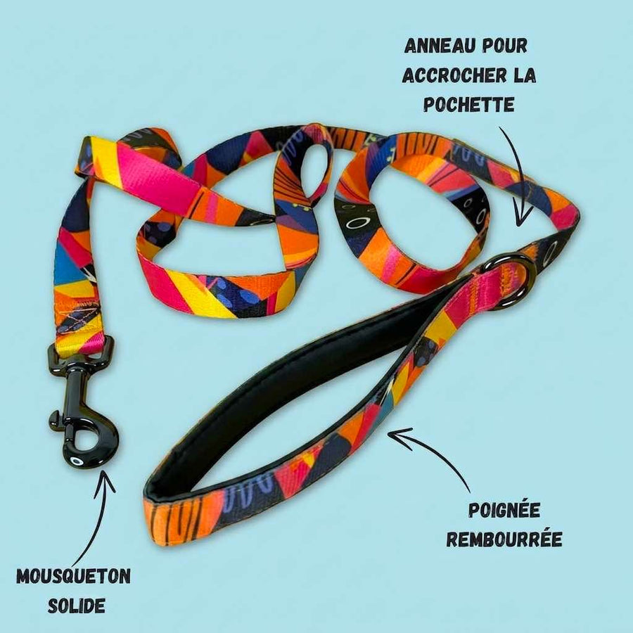 Caractéristiques de la laisse Panache. On peut voir ses couleurs, bleu, violet, orange et fuschia ainsi qu'un mousqueton solide, un anneau d'accoche pour pochette et la poignée rembourrée