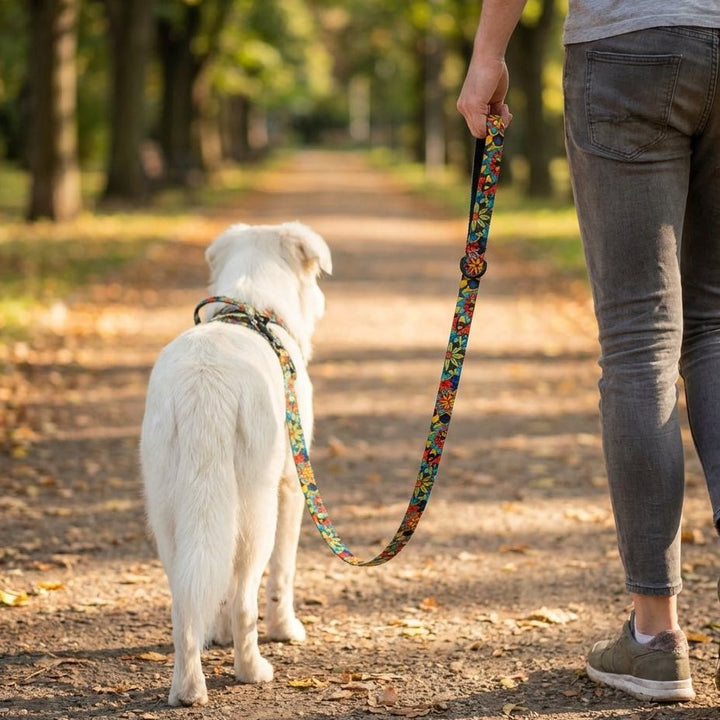 Laisse pour chien Mandala