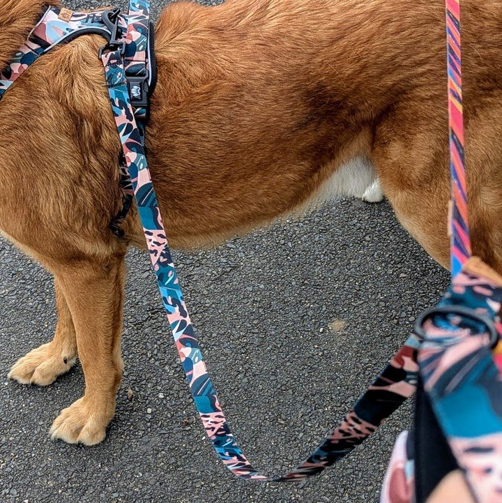 Vue sur la laiise de la collection Savane aux melanges de couleurs marron , vert et beige avec des motifs de feuillages et de tâches de léopard 