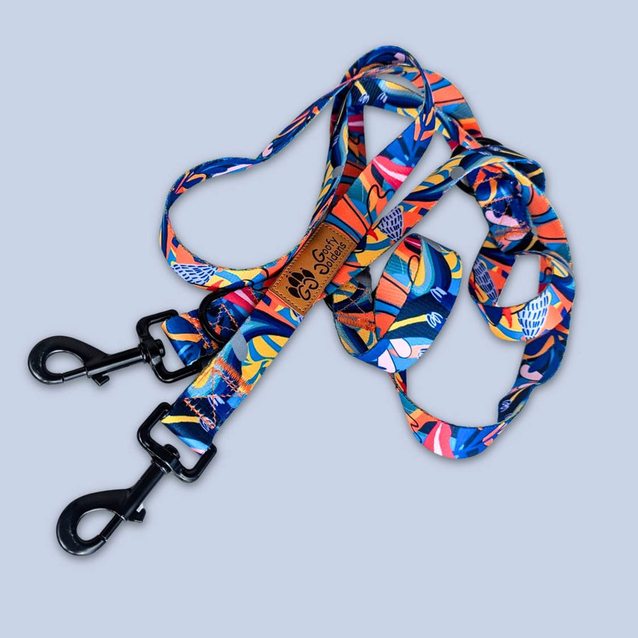 Présentation de la jolie laisse multiposition pour chien de la gamme Lagon aux motifs colorés de la marque innovante Goofy Goldens.