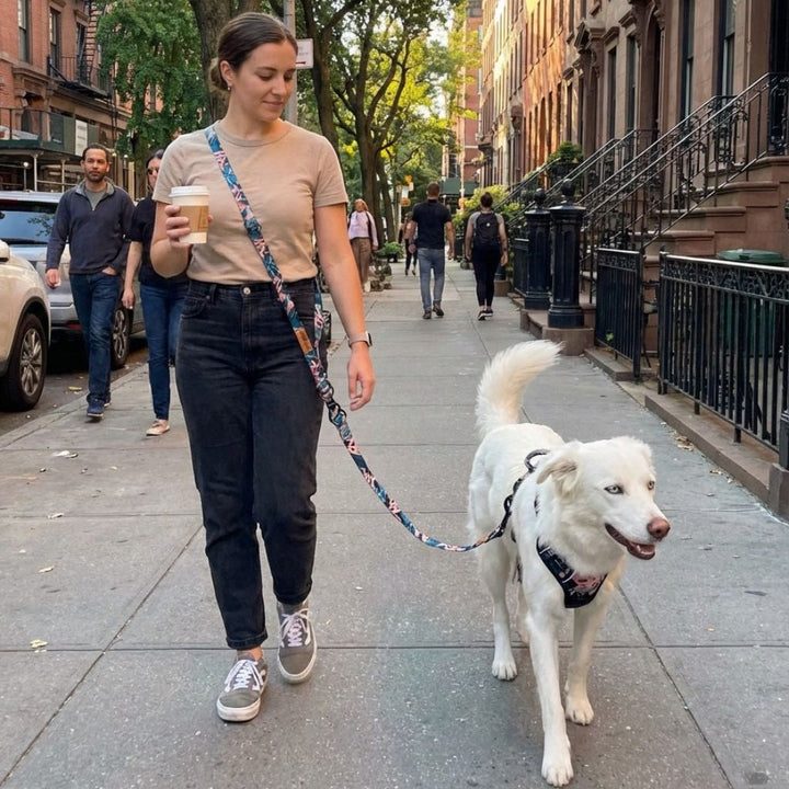 Laisse pour chien Savane multiposition