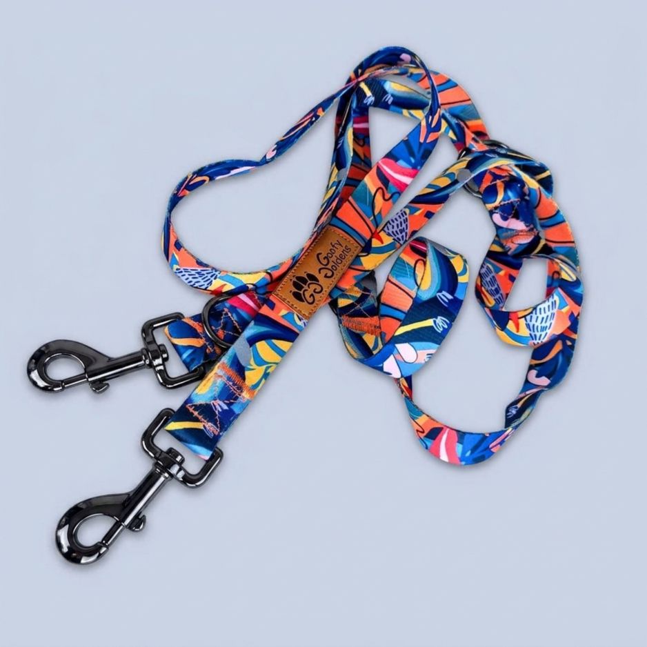 Présentation de la jolie laisse multiposition pour chien de la gamme Lagon aux motifs colorés de la marque tendance Goofy Goldens.