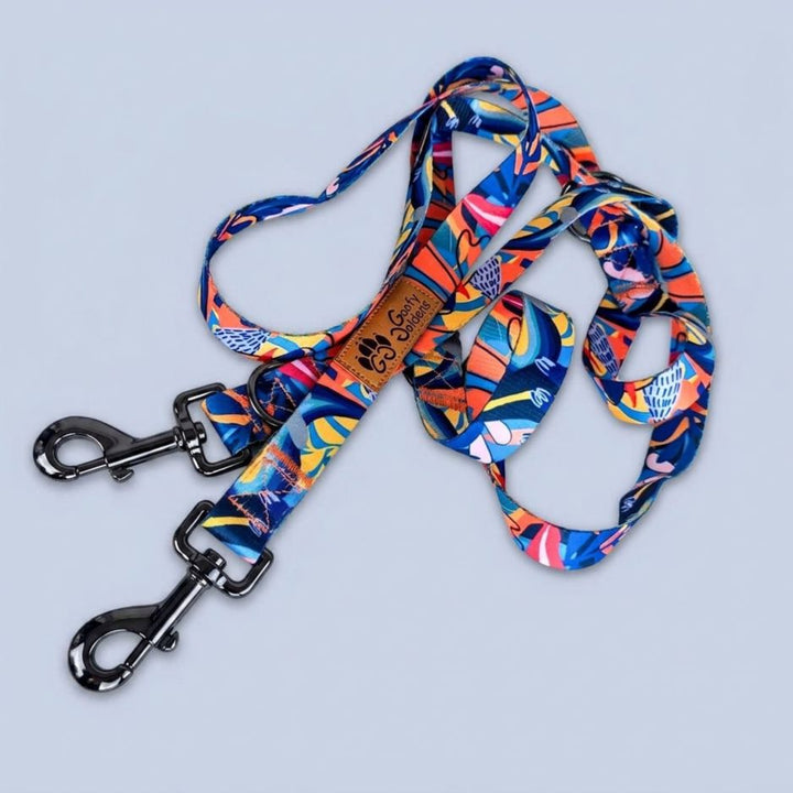 Présentation de la jolie laisse multiposition pour chien de la gamme Lagon aux motifs colorés de la marque tendance Goofy Goldens.