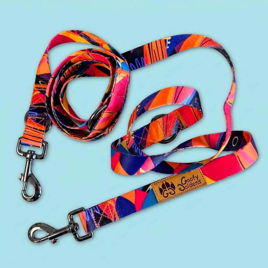 On aperçoit la laisse Multiposition de la gamme Panache enroulée, déclinée dans des couleurs vives de jaune, orange, bleu, violet et fuchsia.