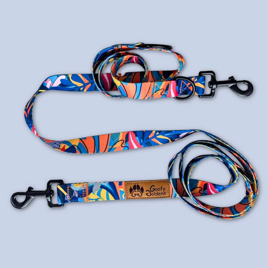 Laisse multipostion pour chien originale et colorée aux mélanges de bleu, rouge, orange, jaune et noir de la marque Goofy Goldens.