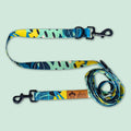 Reef Multi-Position Dog Leash 