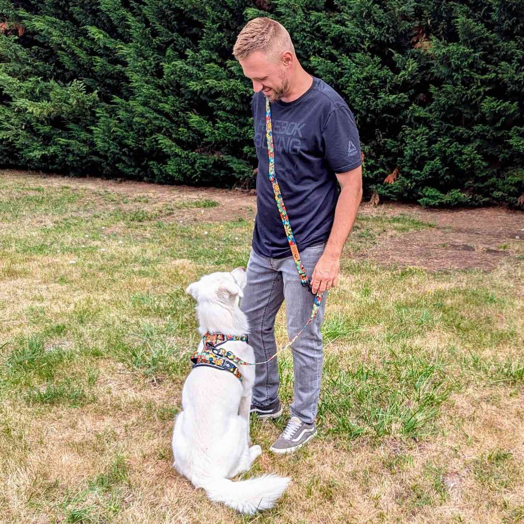 Laisse pour chien Mandala multiposition