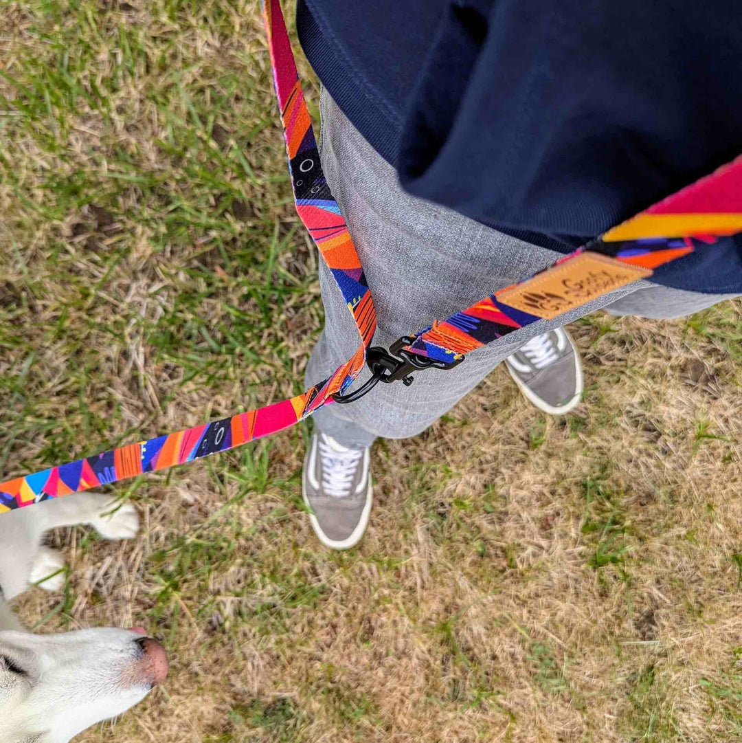 Laisse pour chien Panache multiposition