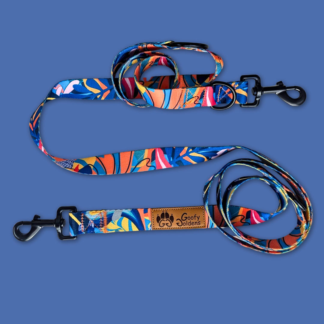 Laisse multipostion pour chien originale et colorée aux mélanges de bleu, rouge, orange, jaune et noir de la marque Goofy Goldens.