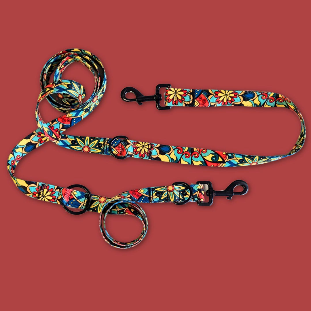 On peut voir les différents points d'attache de la laisse multipositions de la gamme Mandala.