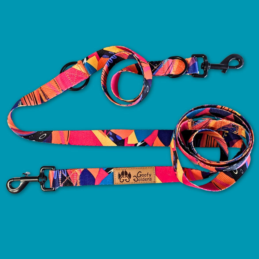 Laisse Multiposition de la gamme Panache aux couleurs vives ou on apercoit les mousquetons et les anneaux .