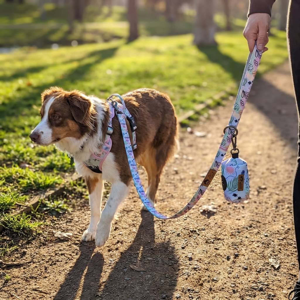 Laisse pour chien Pastel
