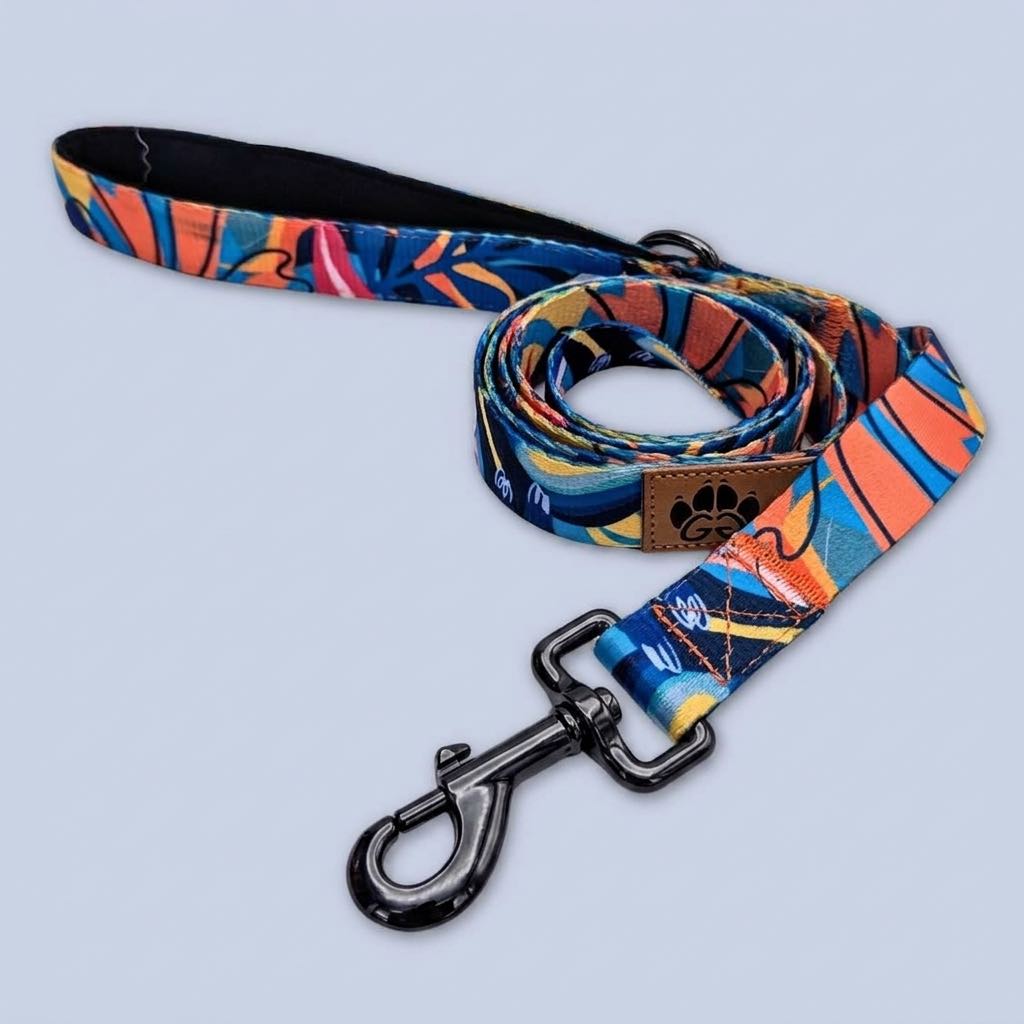 Laisse pour chien originale et colorée aux mélanges de bleu, rouge, orange, jaune et noir de la marque Goofy Goldens.