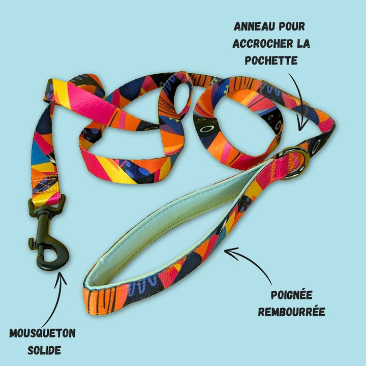 Caractéristiques de la laisse Panache. On peut voir ses couleurs, bleu, violet, orange et fuschia ainsi qu'un mousqueton solide, un anneau d'accoche pour pochette et la poignée rembourrée