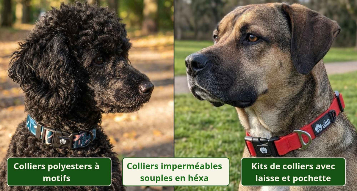 Hundehalsbänder