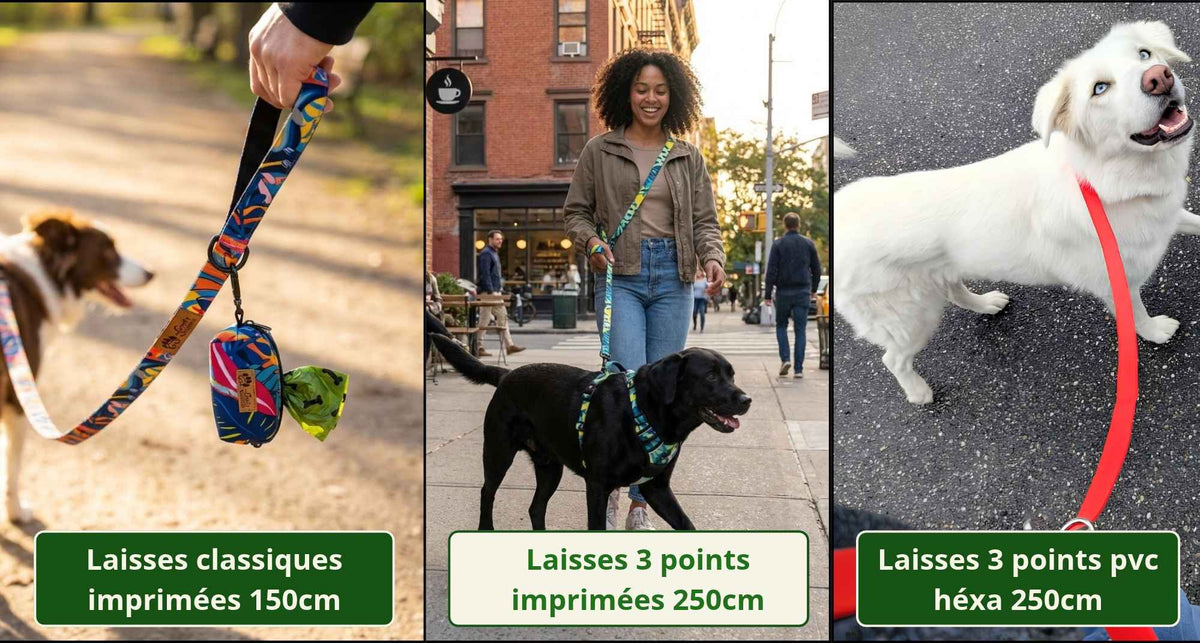 Originelle Hundeleinen