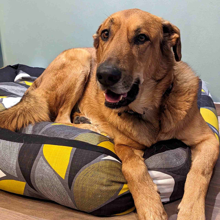 Panier pour chien Elégant