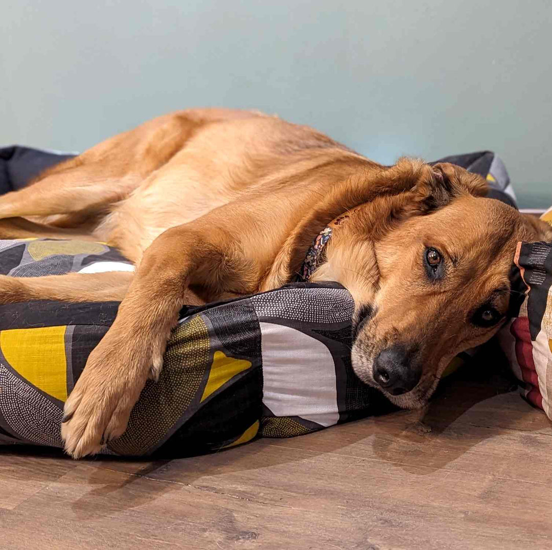 Panier pour chien Elégant