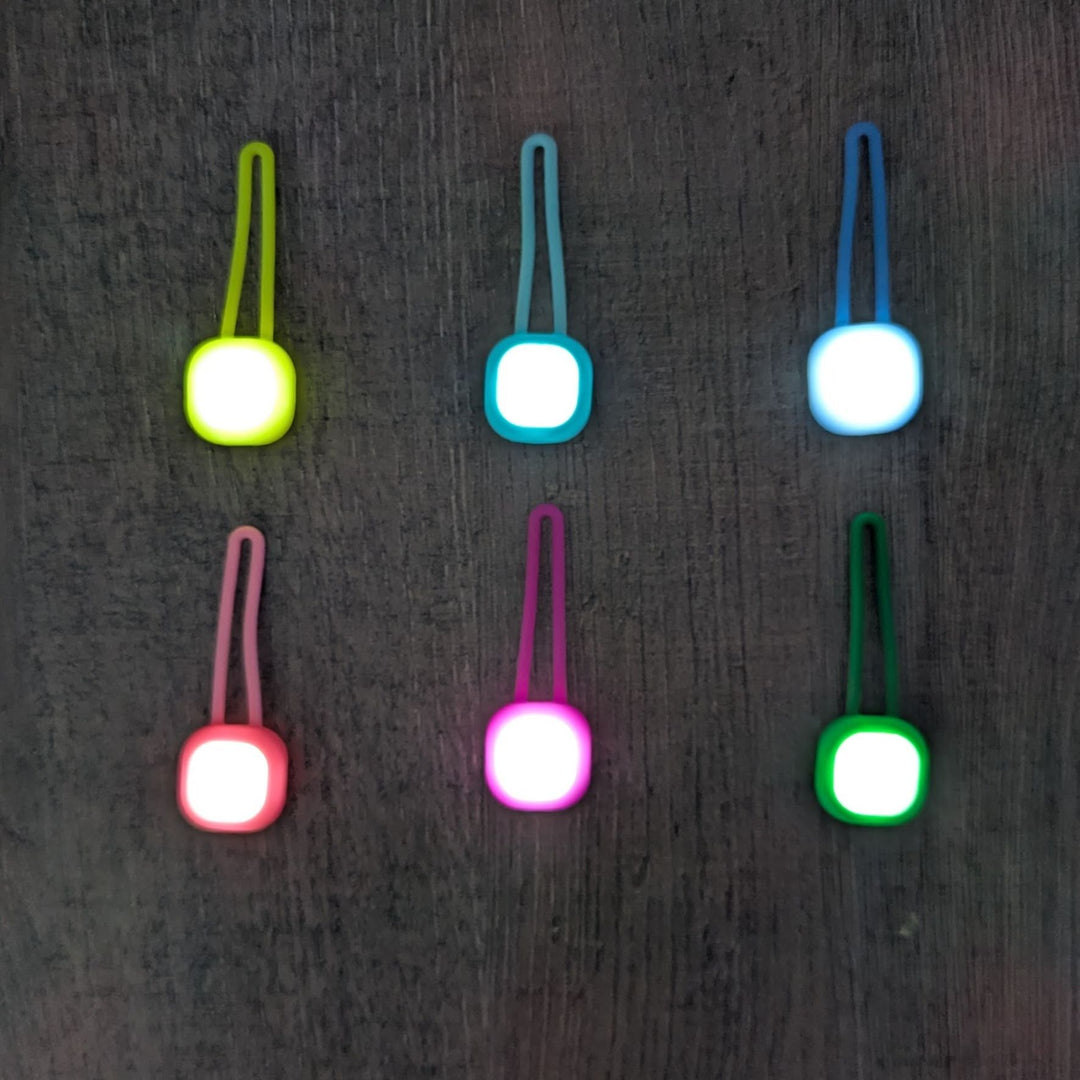 Pendentif lumineux pour chien