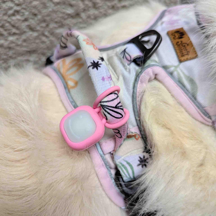 pendentif lumineux pour chien, ici accroché facilement au harnais d'un chien
