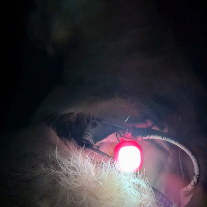 Light-up dog pendant