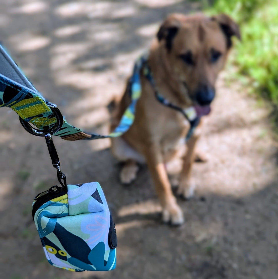 On peut voir ici un zoom sur la pochette de sacs à dejections pour chien de la collection Récif attachée à la laisse. En flou au deuxieme plan on voit un chien marron assis 