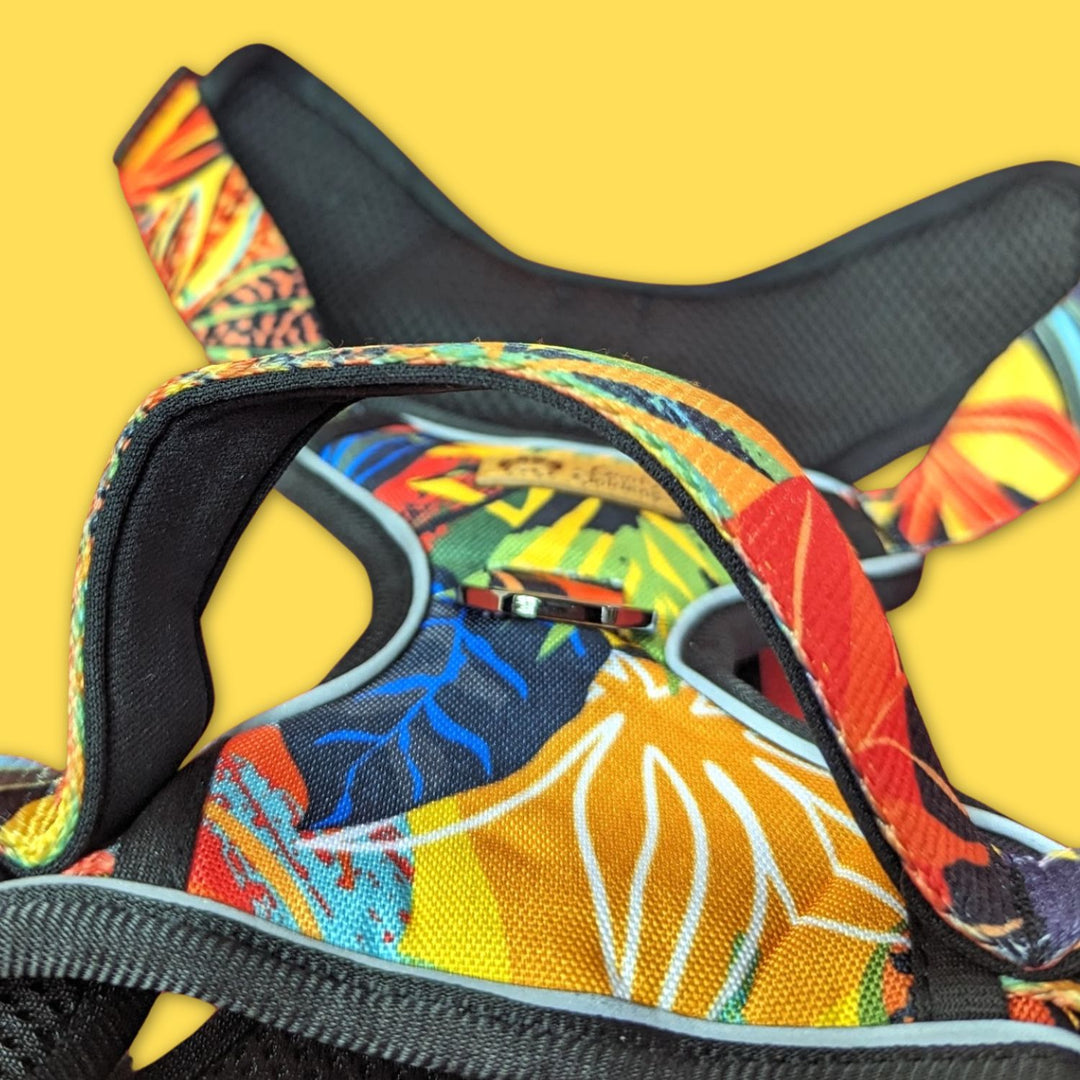 Zoom sur la poignée rembourrée du harnais anti-traction Tropical. La poignée est conçu pour le confort des parents du chien.  