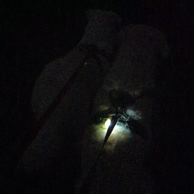 Light-up dog pendant