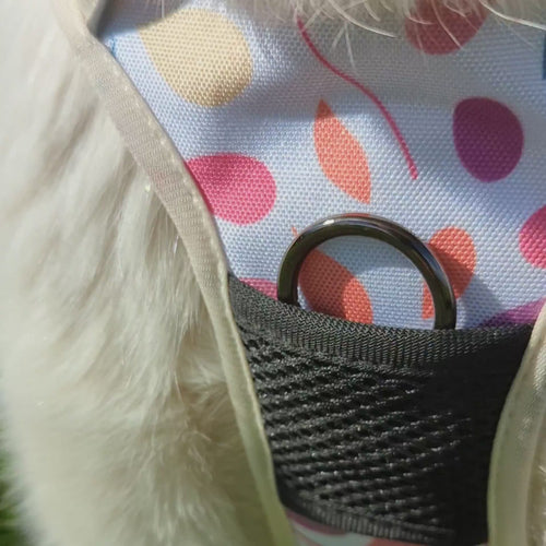 Vidéo d'un chien blanc portant joyeusement un harnais anti-traction Goofy Goldens. On voit que la forme en Y n'entrave pas les mouvements du chien pour respecter ses articulations.