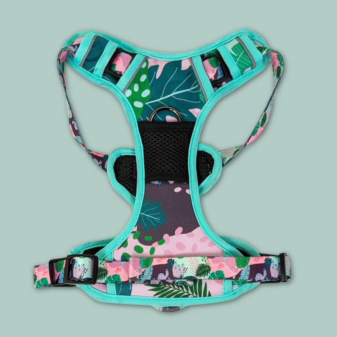 Zoom sur la face avant du harnais anti traction chien de la colection Cactus. On distingue ici les motifs et les tons verts et rose.