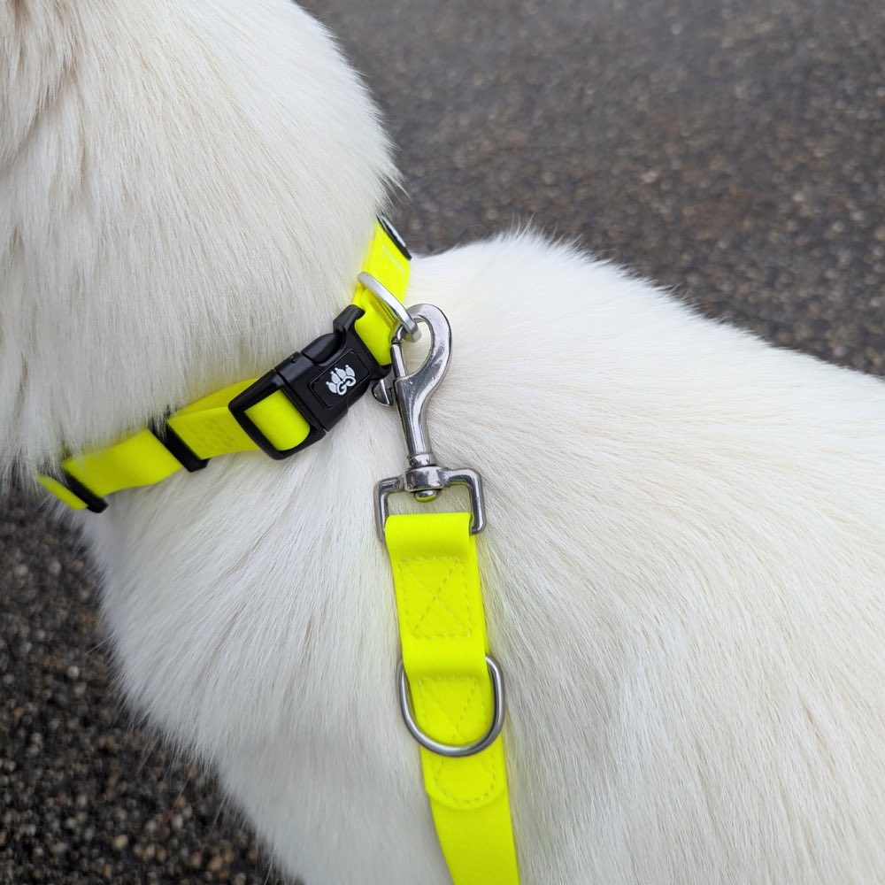 Collier imperméable Jaune fluo